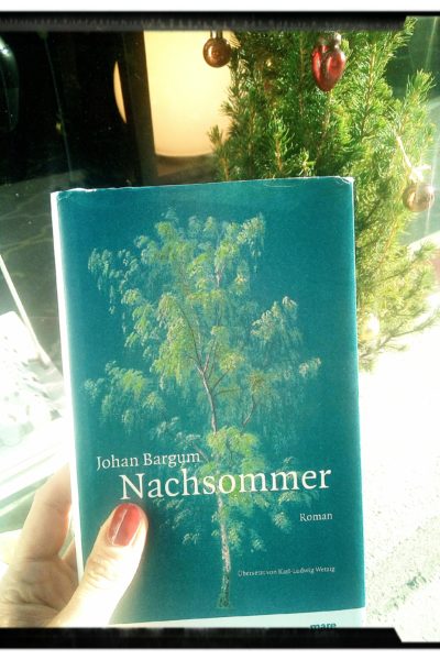 Buchtipp: „Nachsommer“ statt Winter