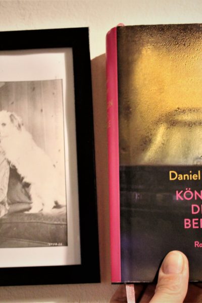 Buchtipp: „Die Königin der Berge“ von Daniel Wisser